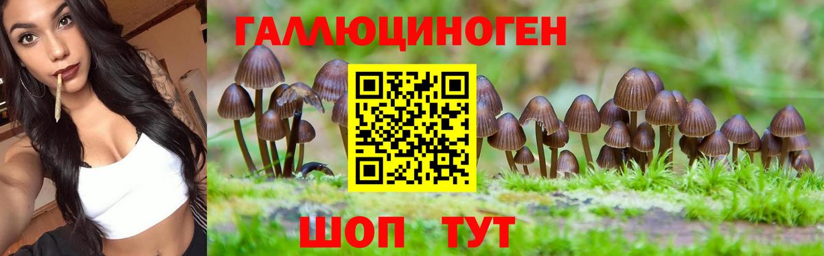 Галлюциногенные грибы Cubensis  Галлюциногенные грибы Psilocybe  Вход с VPN  цены   Кингисепп 